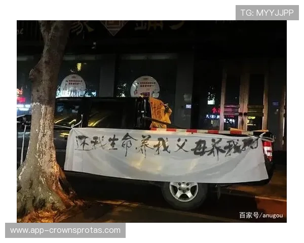 特雷·杨家的车库比我家还小，但停的车加起来够买我十条命