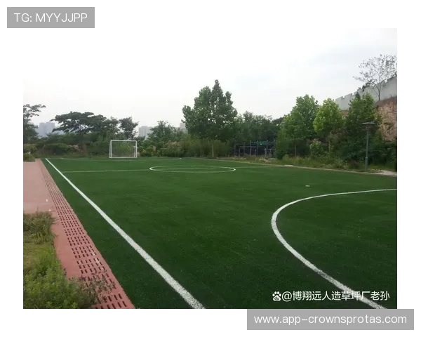 人工草场上的足球规则有哪些特别之处？规则拆解全解析