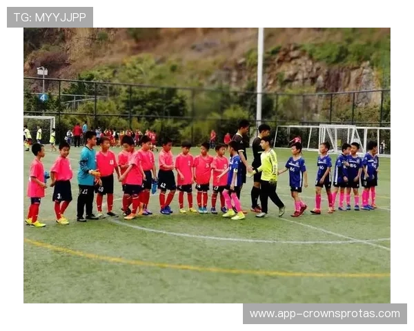 手抛球规则详解：裁判判罚标准与注意事项解析